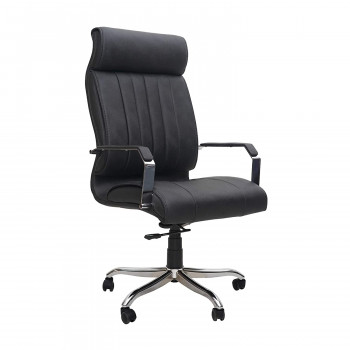 Amaltas chromium steel luxury office chair